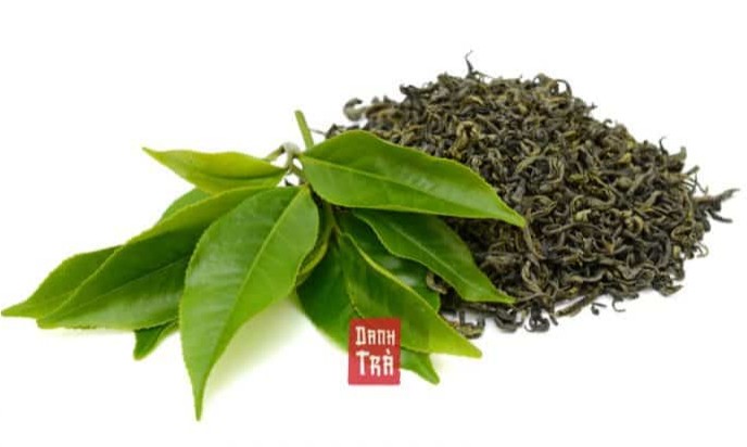 https://www.sonhatea.com/Resource/Blogs/Thumbnails/1/1/tra-xanh-la-gi-5-su-that-ve-tra-xanh-ma-ban-chua-biet-danh-tra-1.jpg